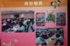 dsc07540_small.jpg